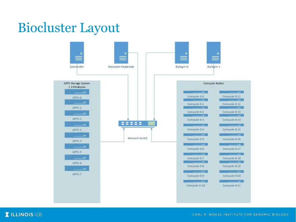 biocluster layout