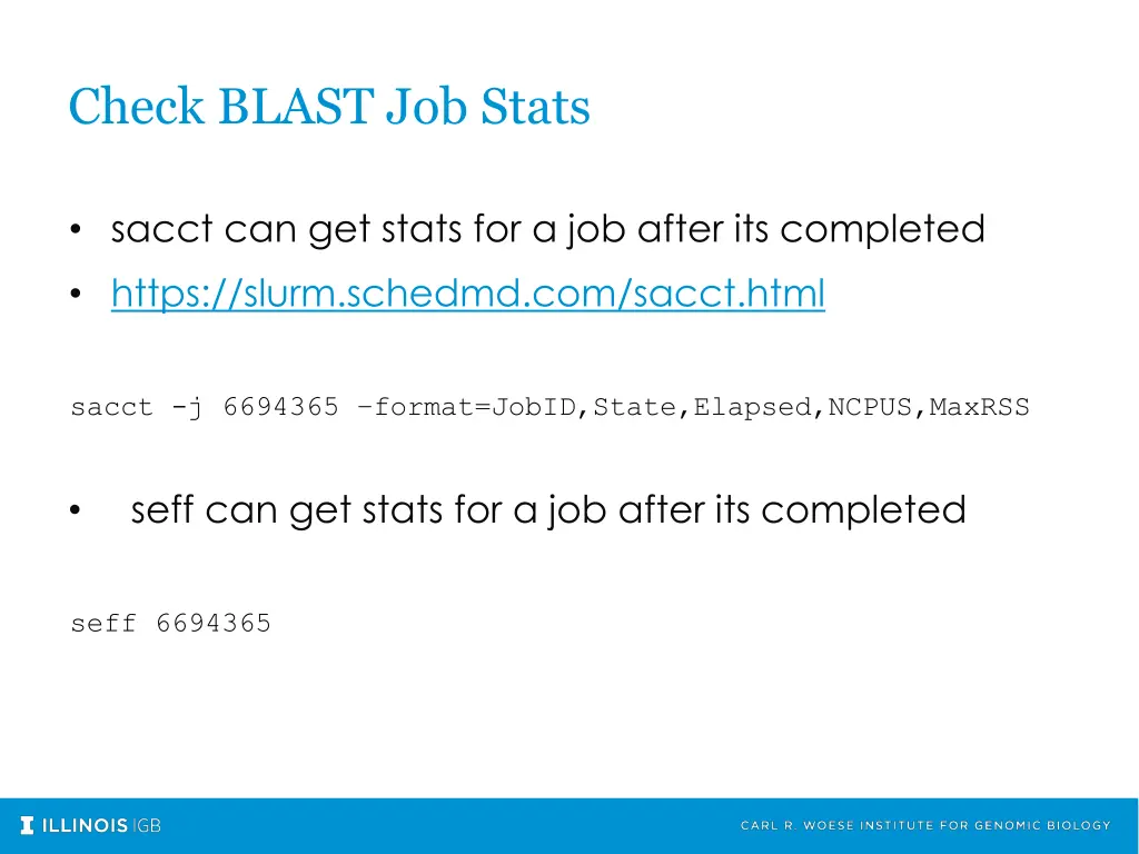 check blast job stats