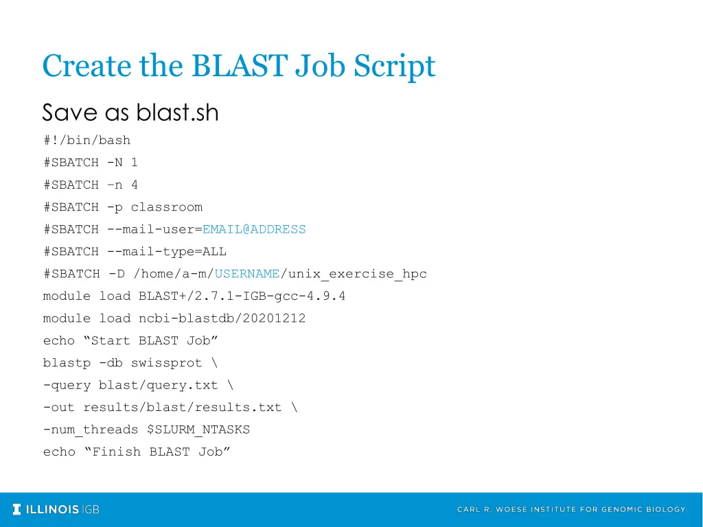 create the blast job script 1