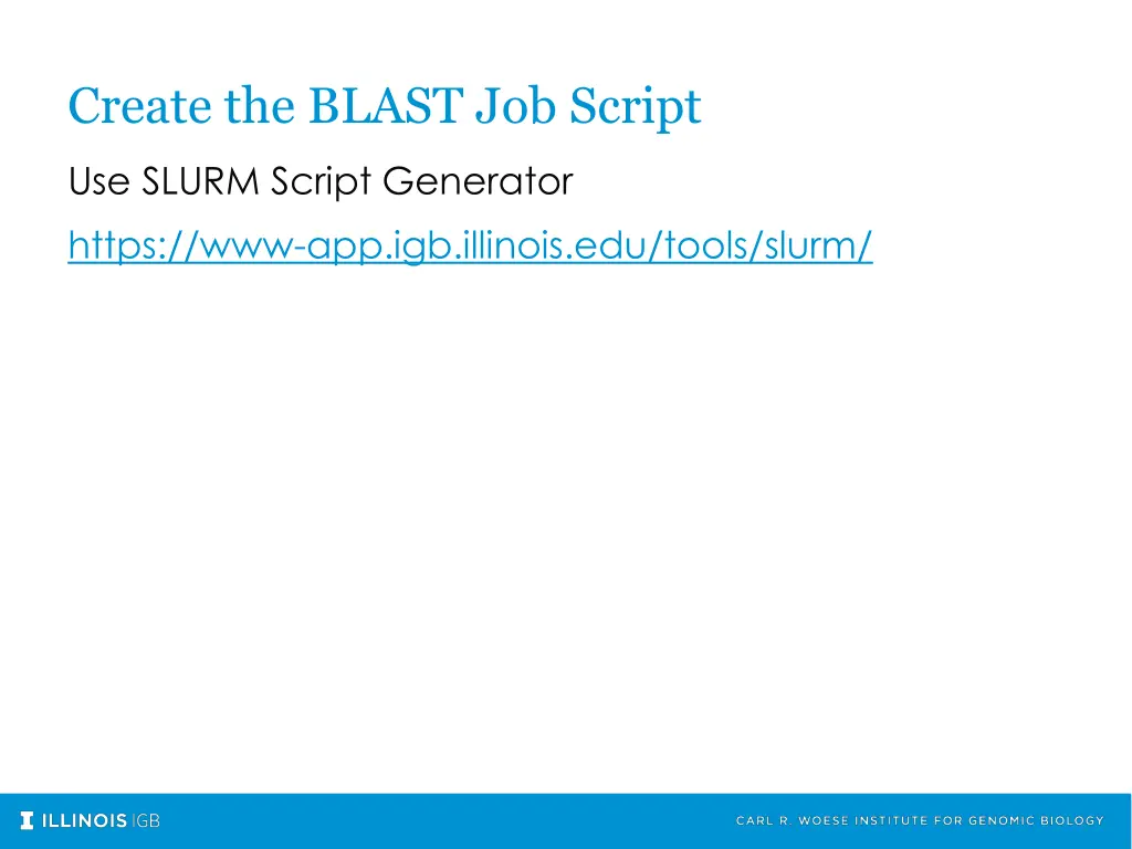 create the blast job script