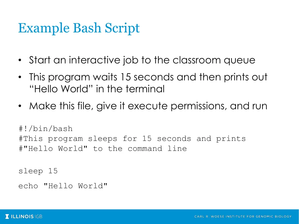 example bash script