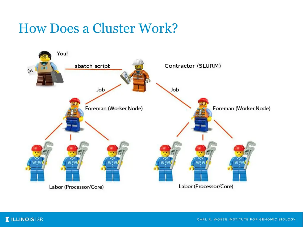 how does a cluster work