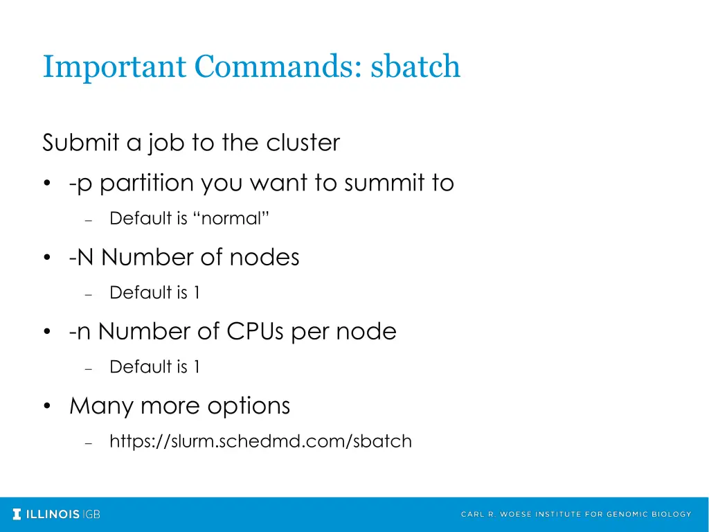 important commands sbatch