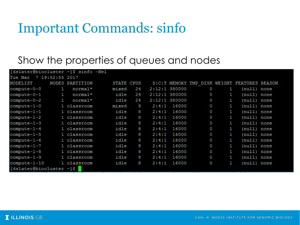 important commands sinfo