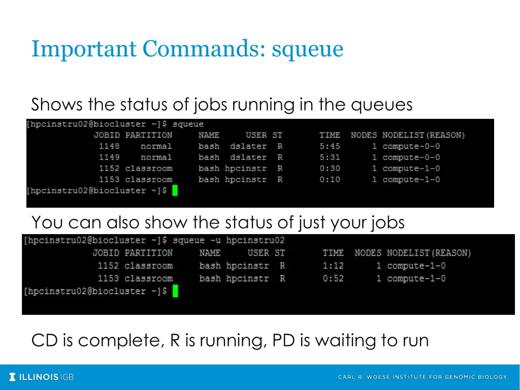 important commands squeue