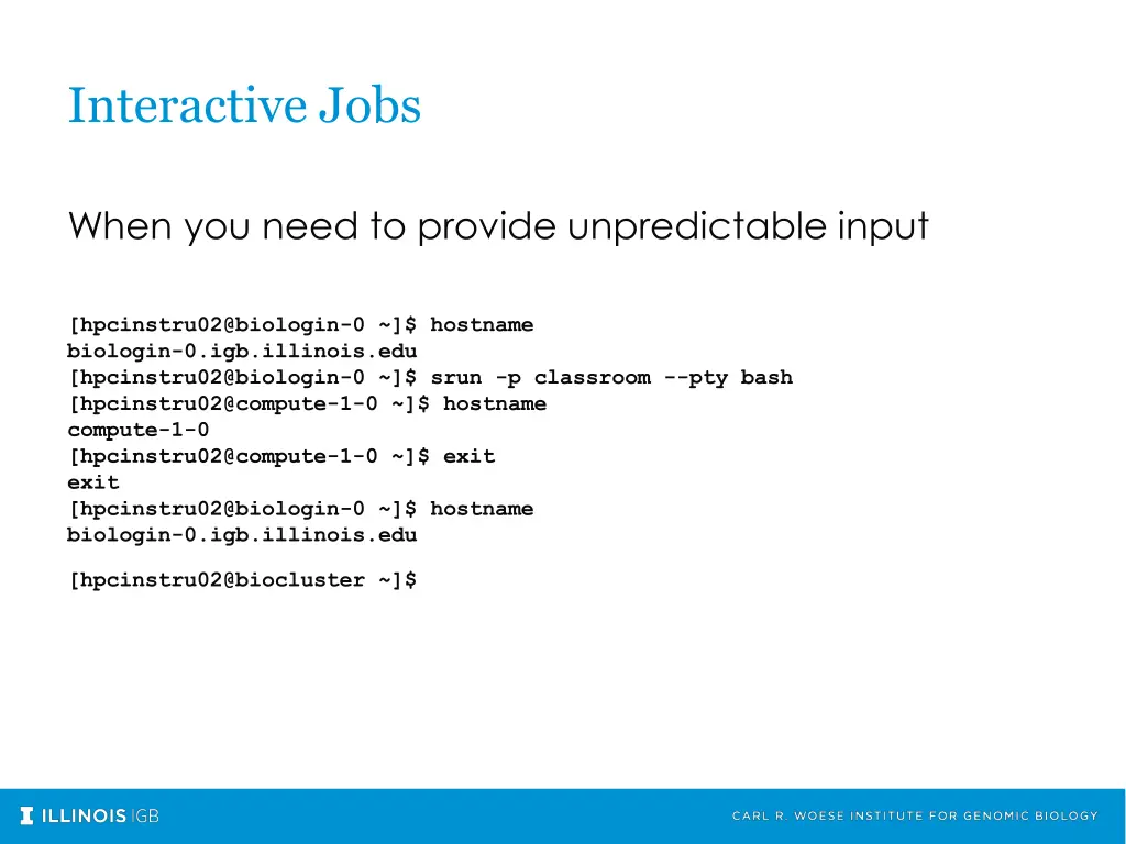 interactive jobs