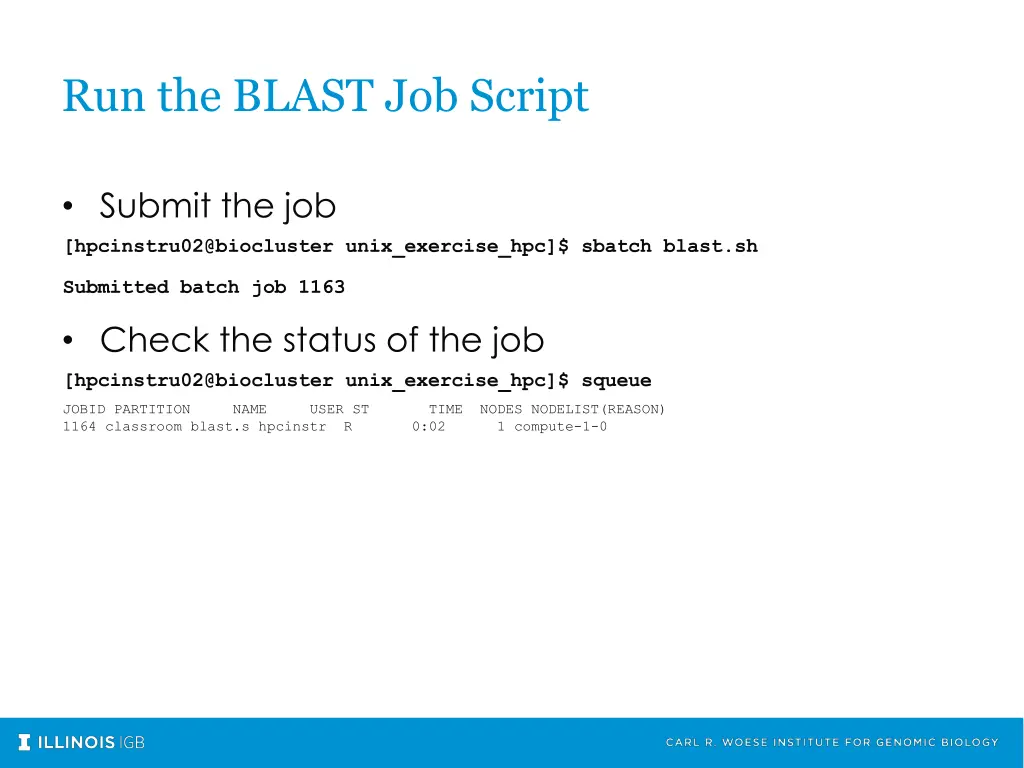 run the blast job script