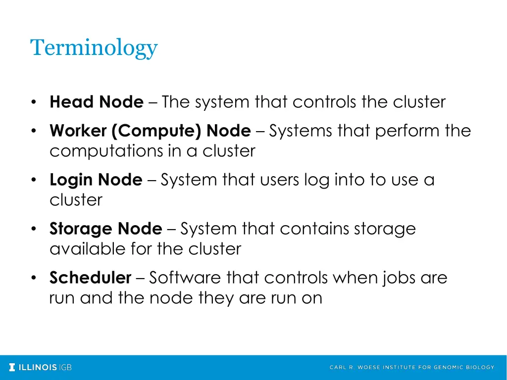 terminology