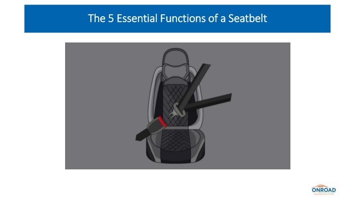 the 5 essential functions of a seatbelt