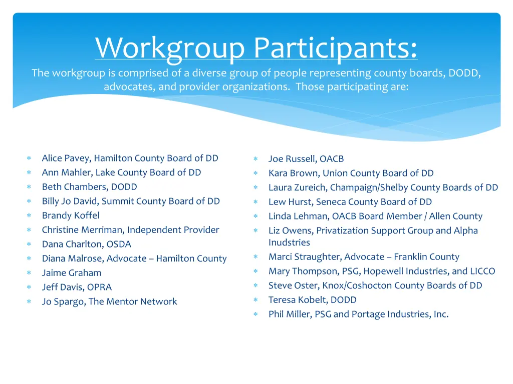 workgroup participants the workgroup is comprised