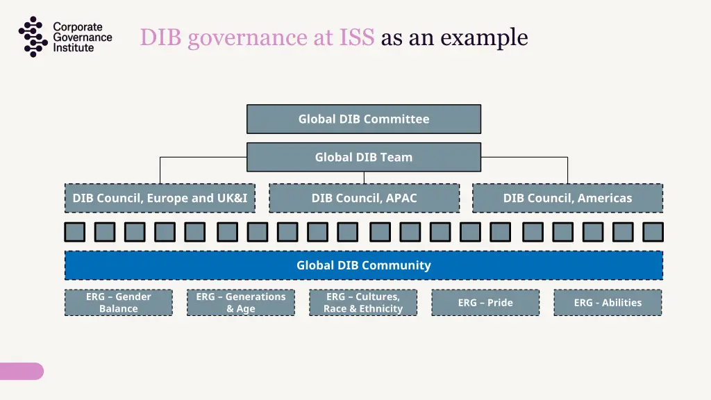 dib governance at iss as an example