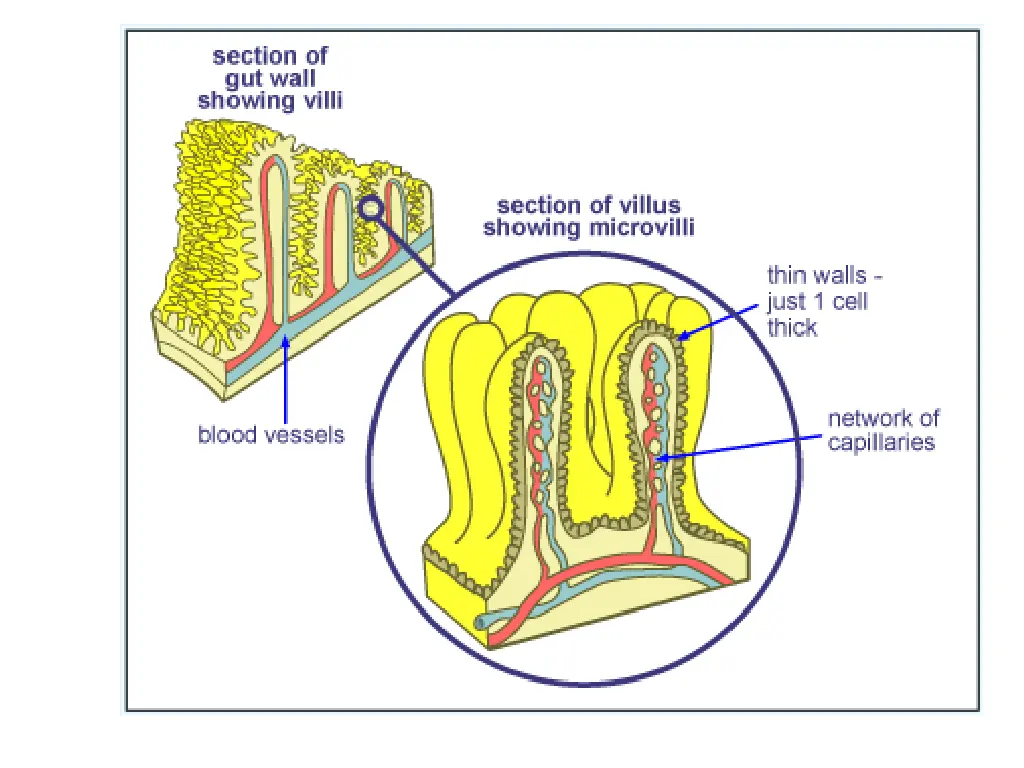 slide9