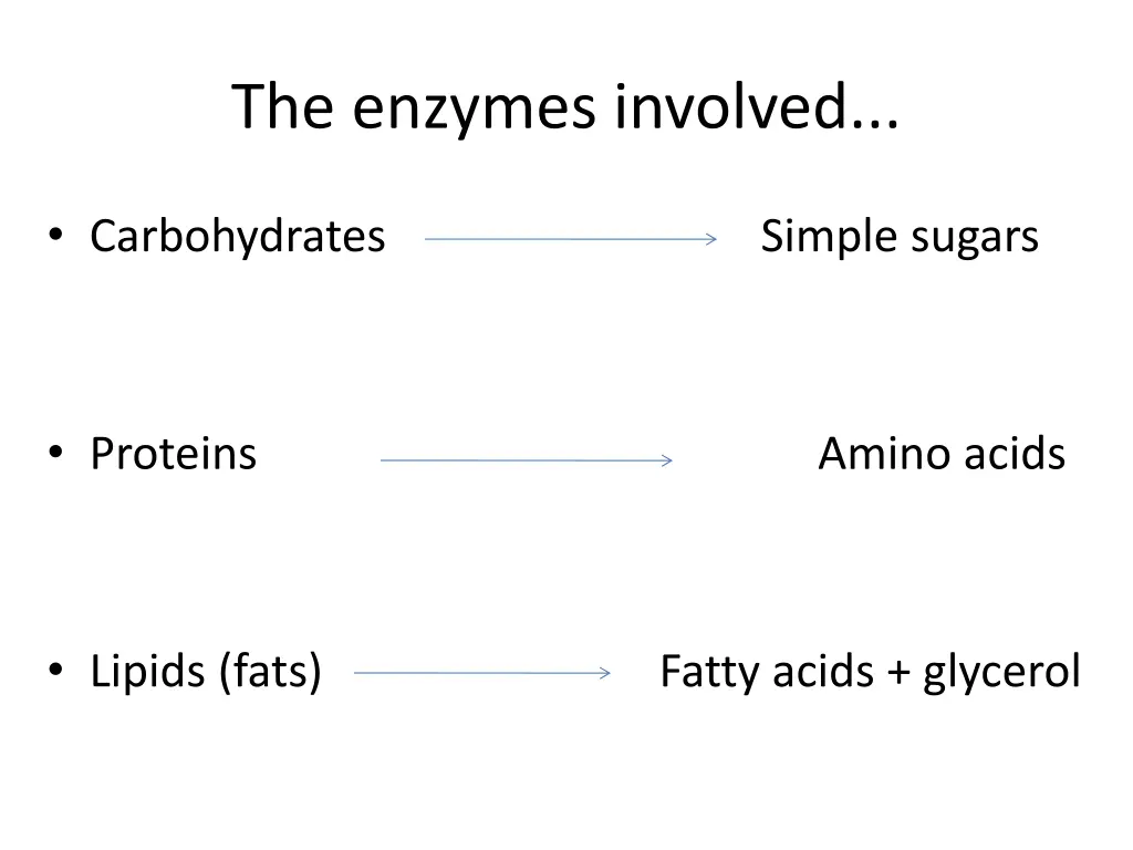 the enzymes involved