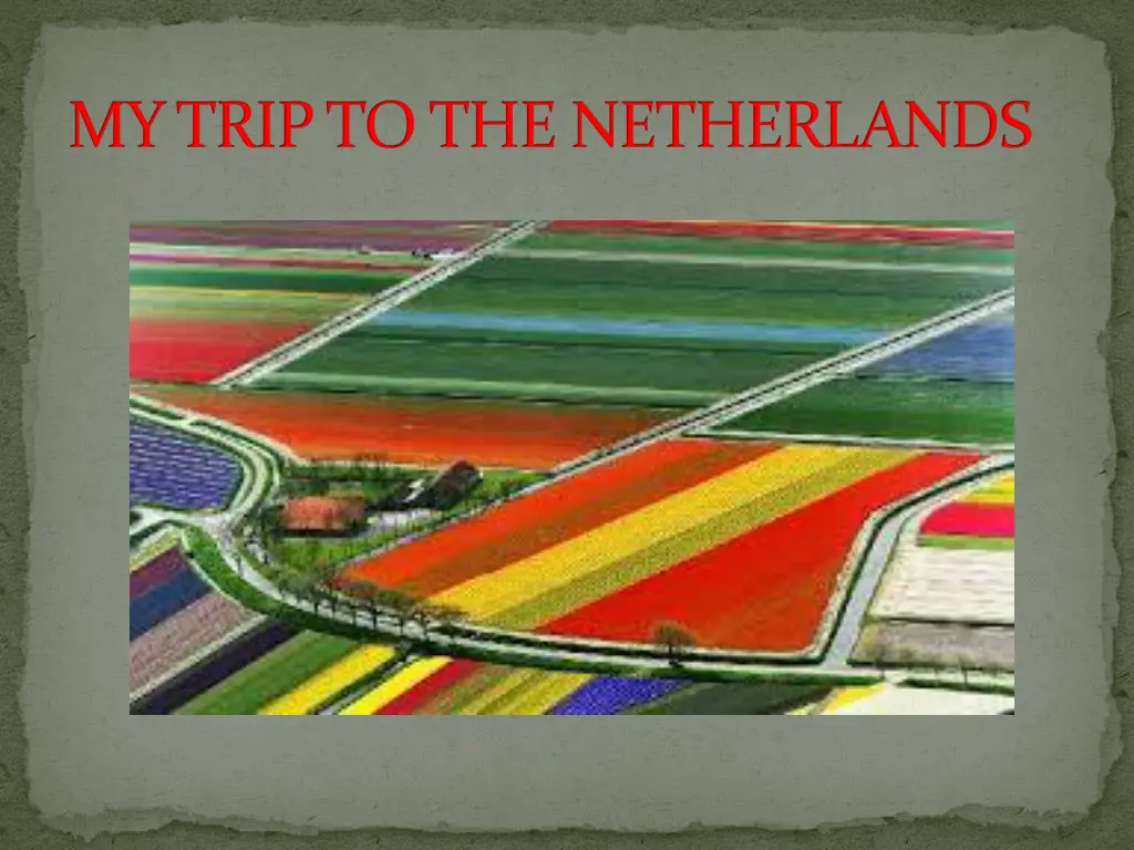 my trip to the netherlands