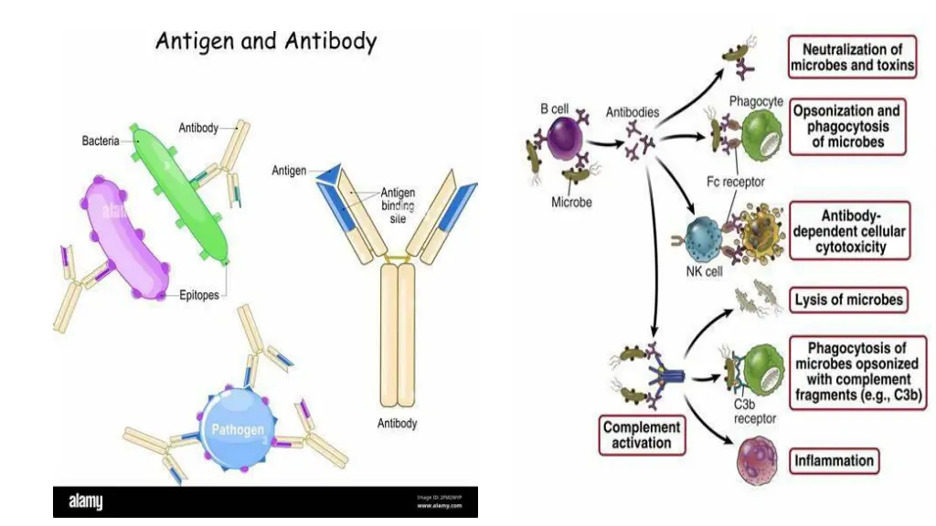 slide2