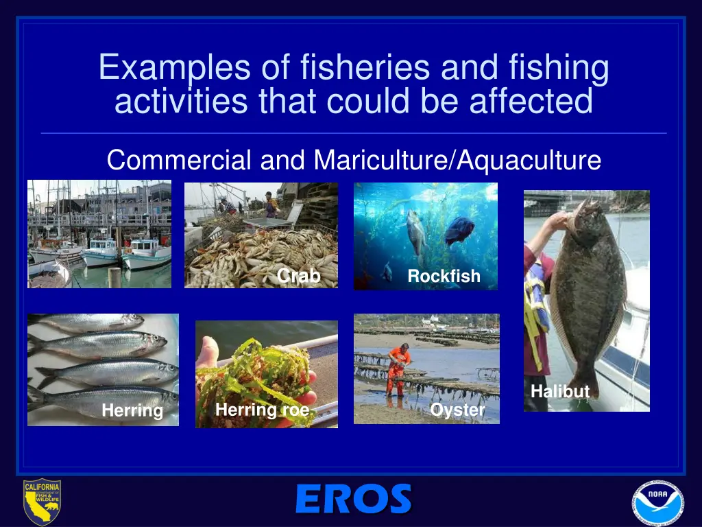 examples of fisheries and fishing activities that