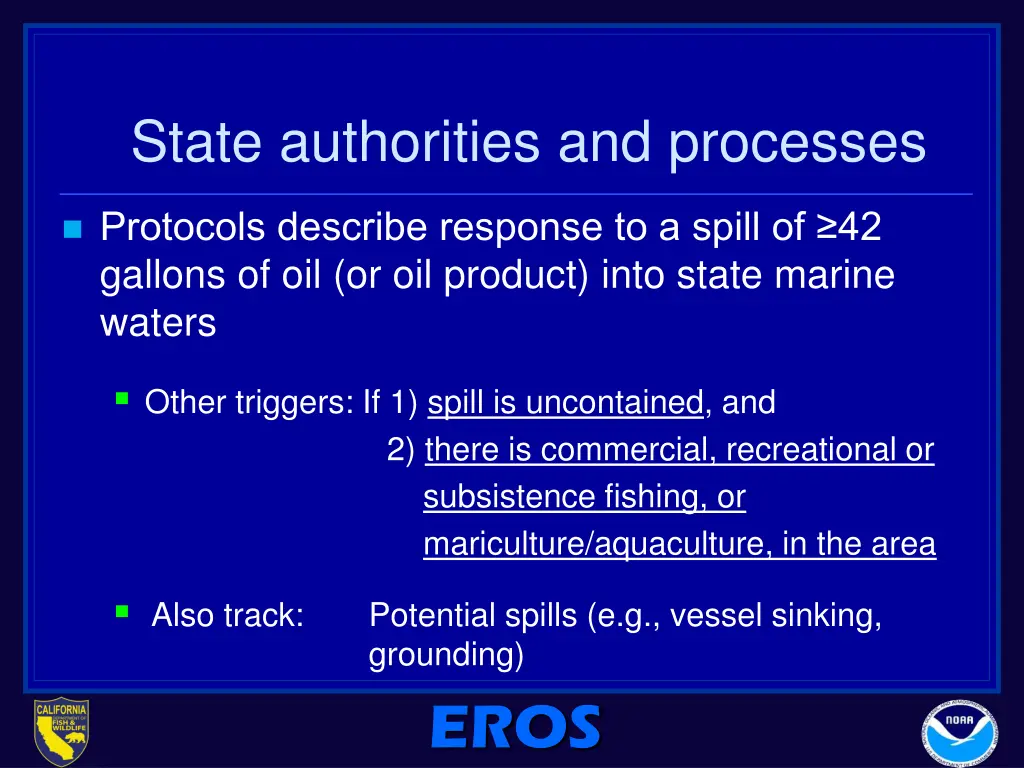 state authorities and processes