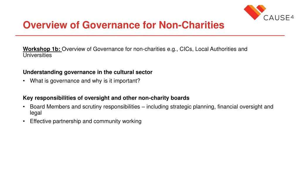 overview of governance for non charities