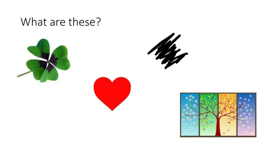 what are these