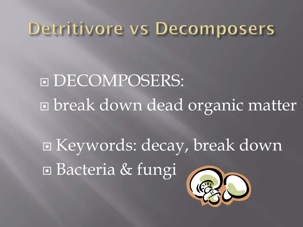 decomposers break down dead organic matter