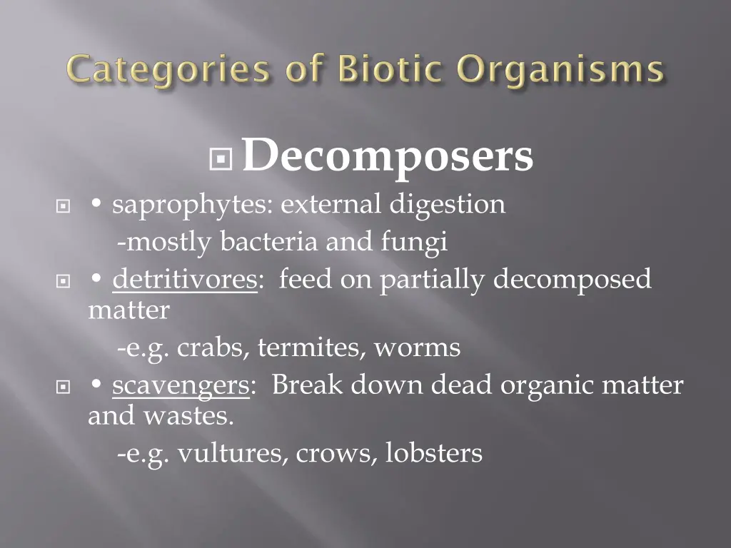decomposers saprophytes external digestion mostly