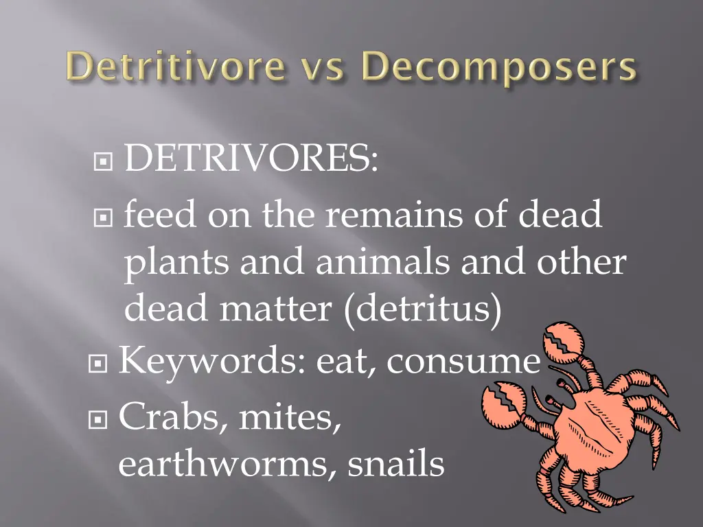 detrivores feed on the remains of dead plants