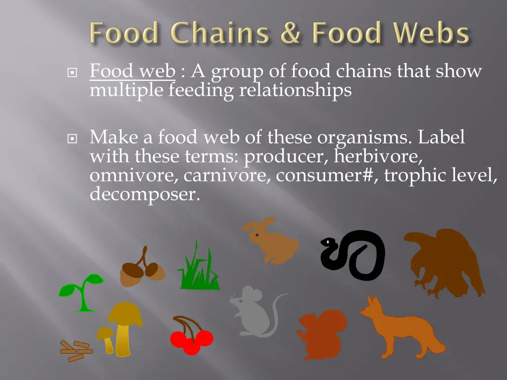 food web a group of food chains that show
