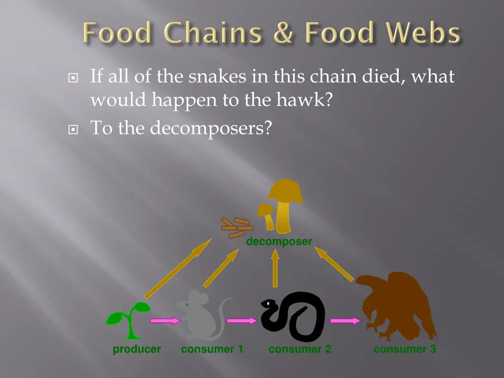if all of the snakes in this chain died what