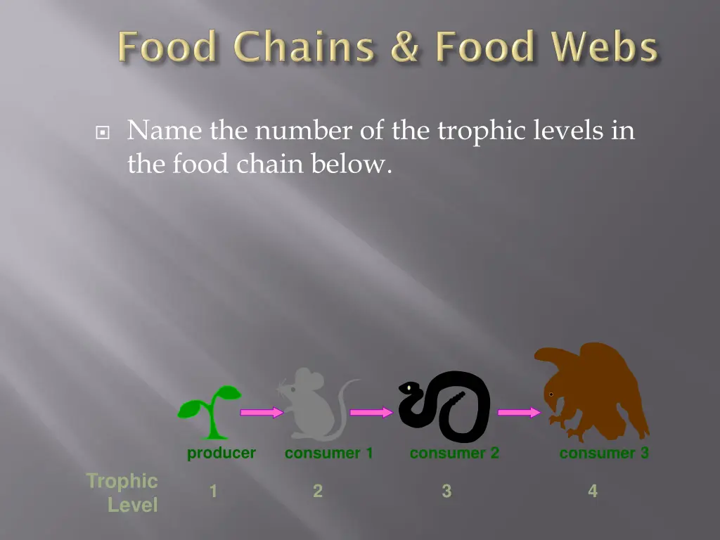 name the number of the trophic levels in the food