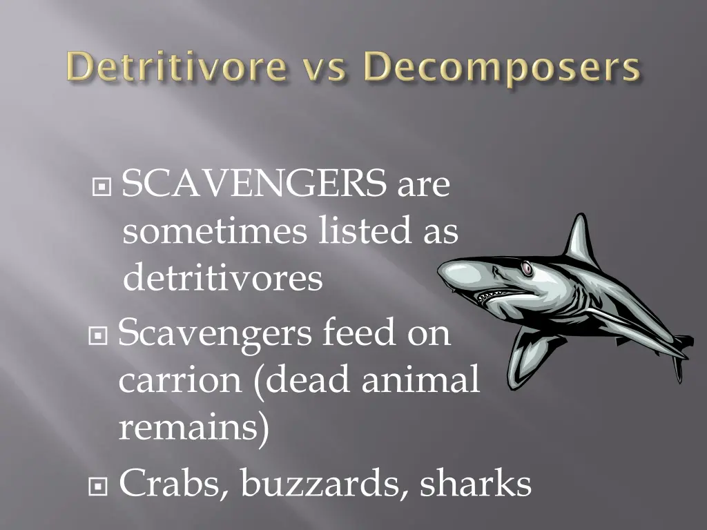 scavengers are sometimes listed as detritivores