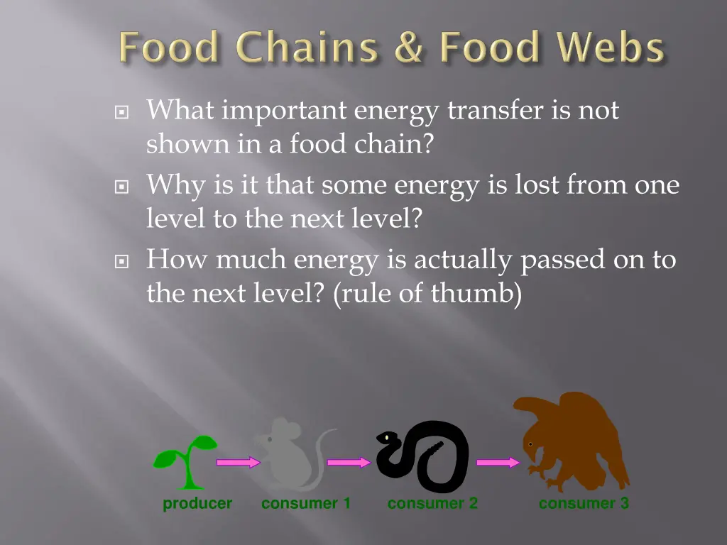 what important energy transfer is not shown