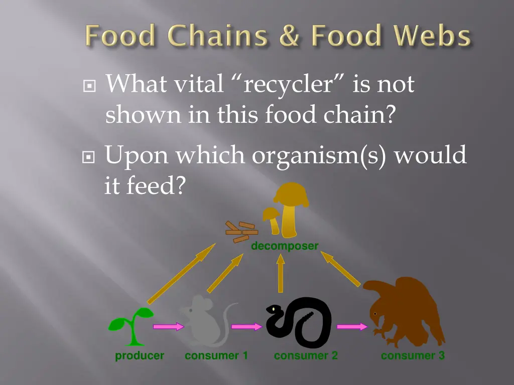 what vital recycler is not shown in this food