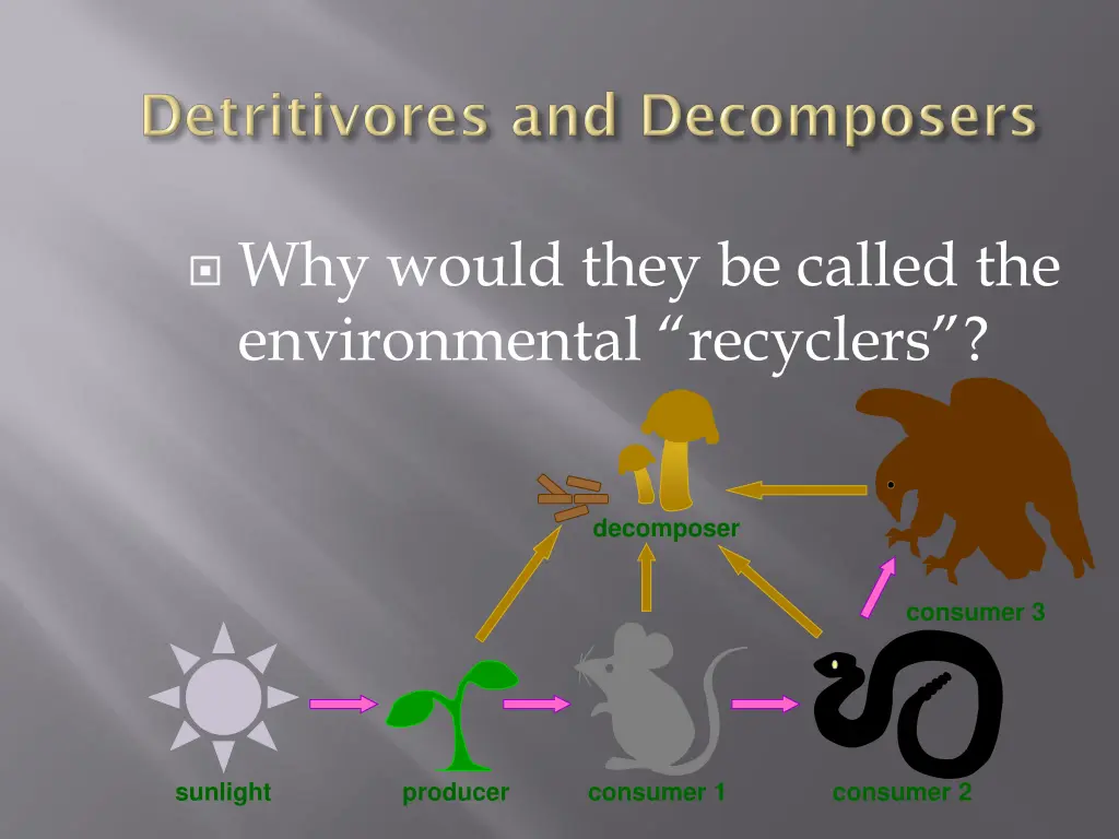 why would they be called the environmental