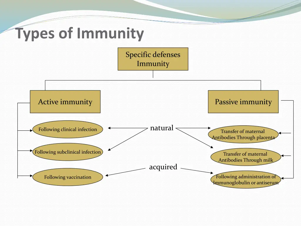 types of immunity