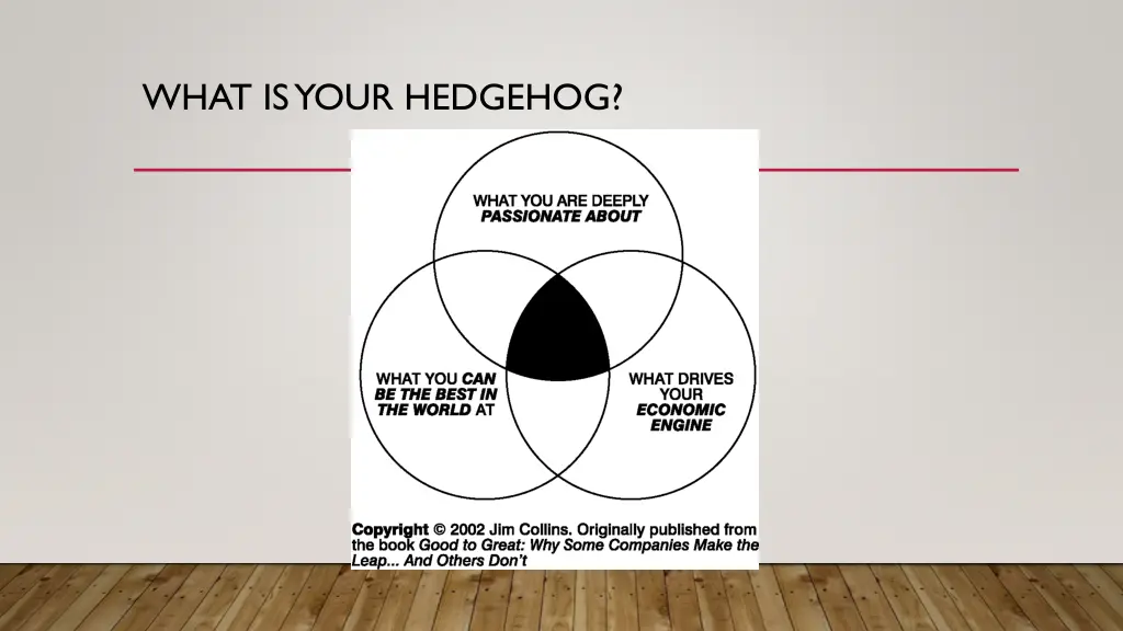 what is your hedgehog