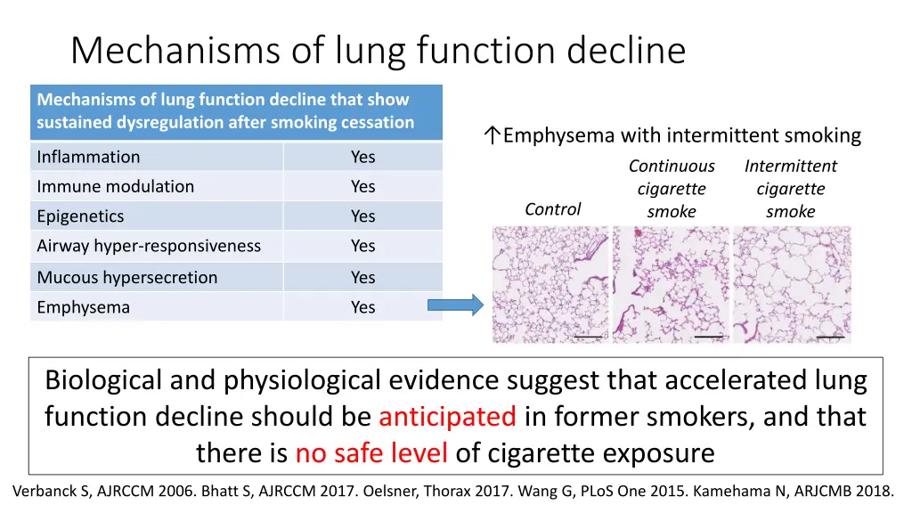 mechanisms of lung function decline