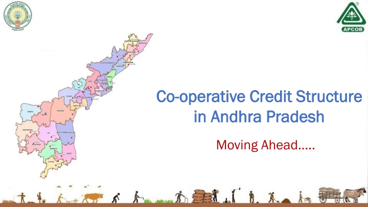 co co operative credit structure operative credit