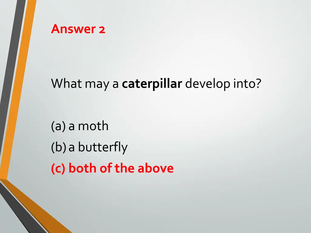 answer 2