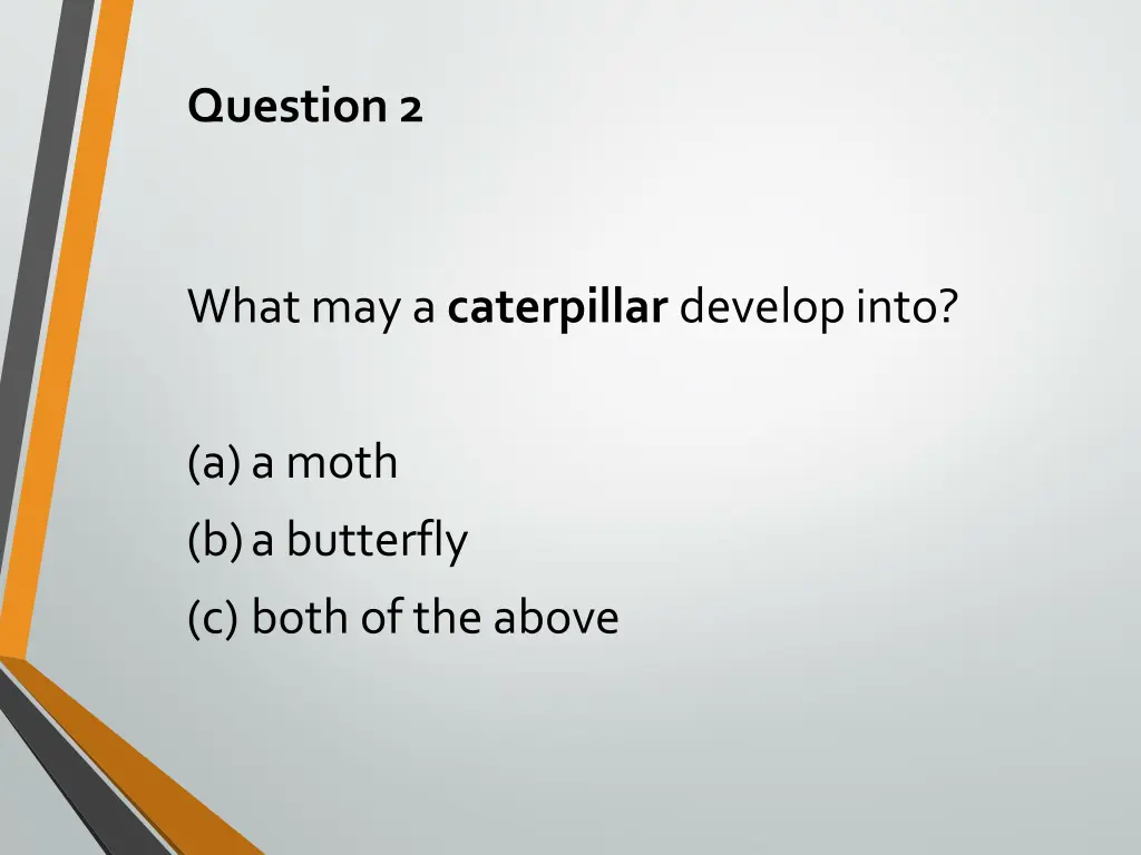 question 2