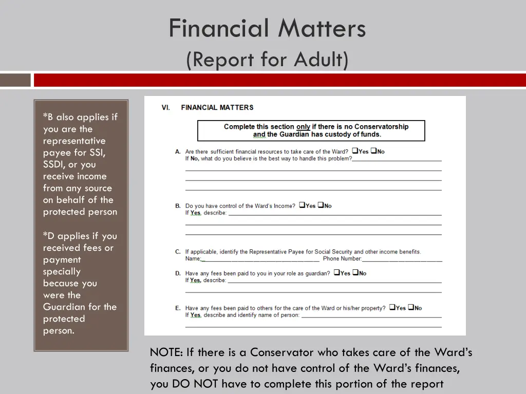 financial matters report for adult