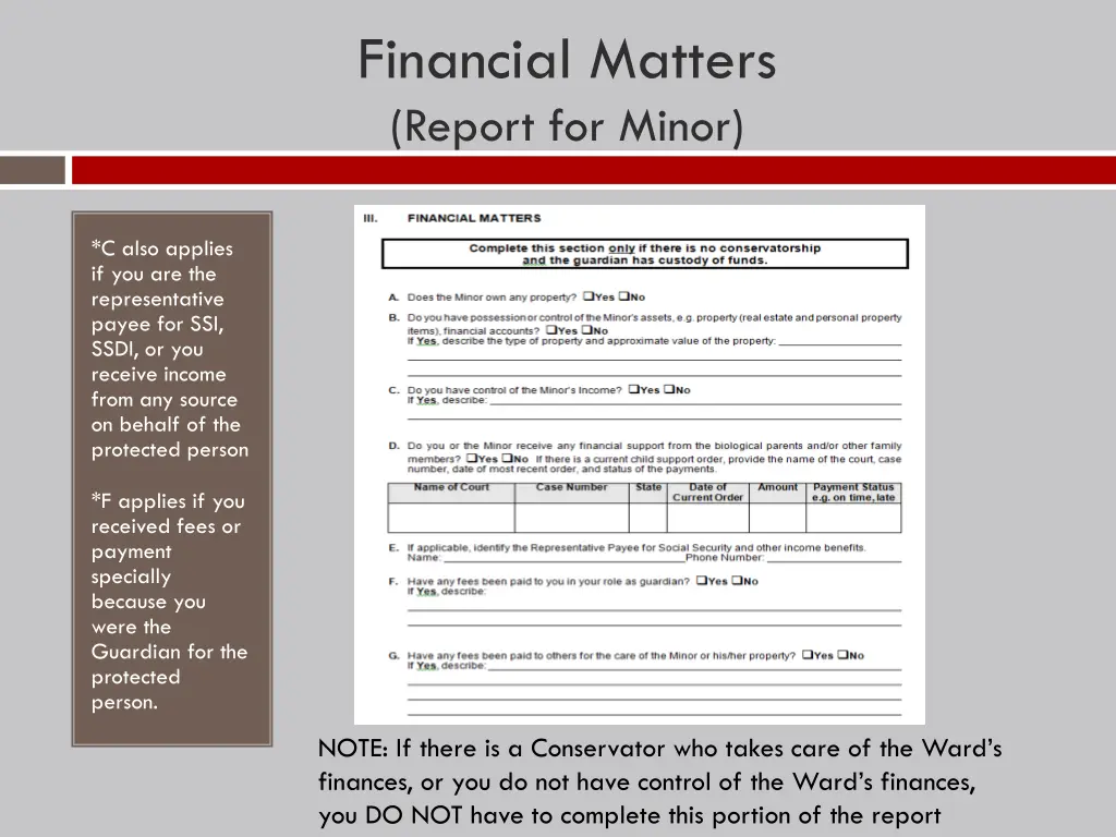 financial matters report for minor