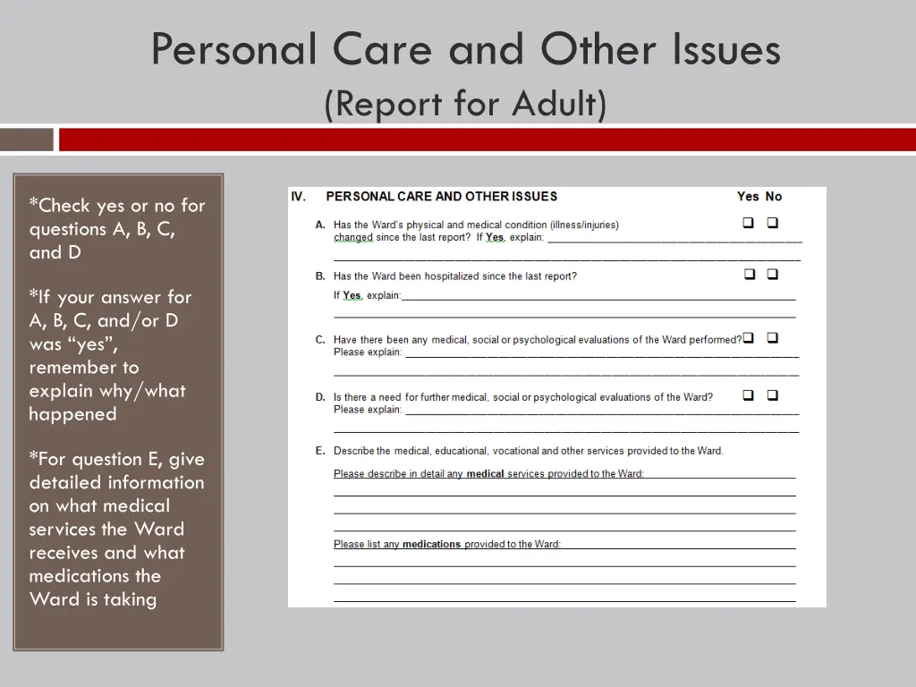 personal care and other issues report for adult