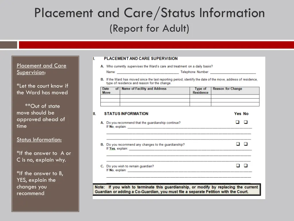 placement and care status information report