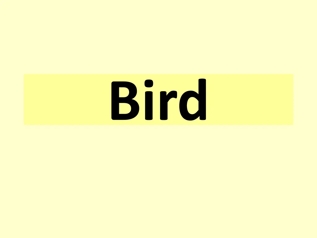 slide19