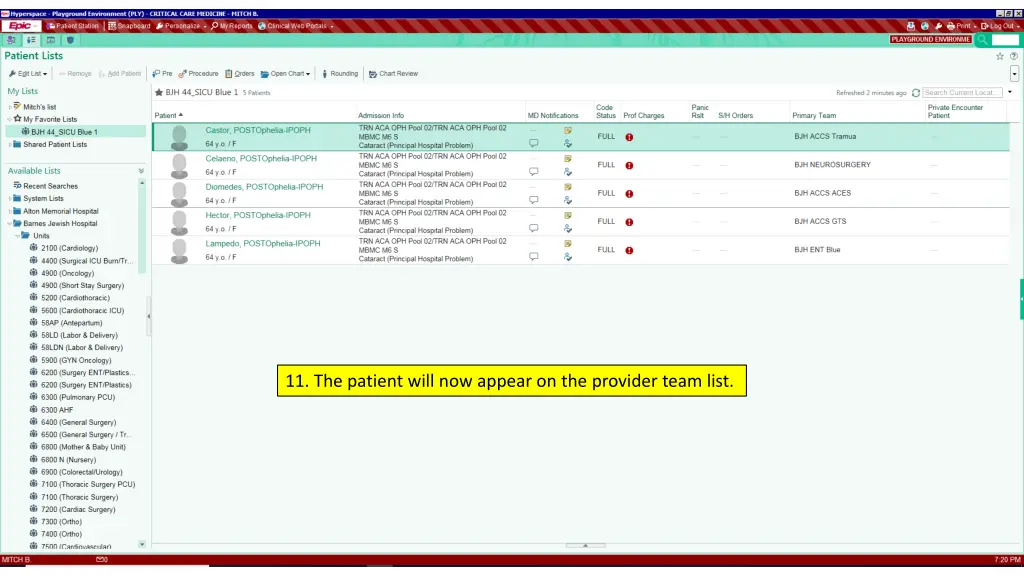 11 the patient will now appear on the provider