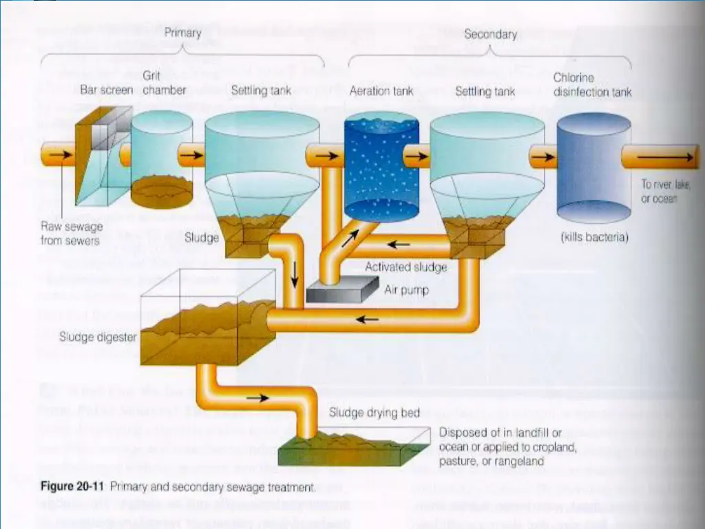 slide8