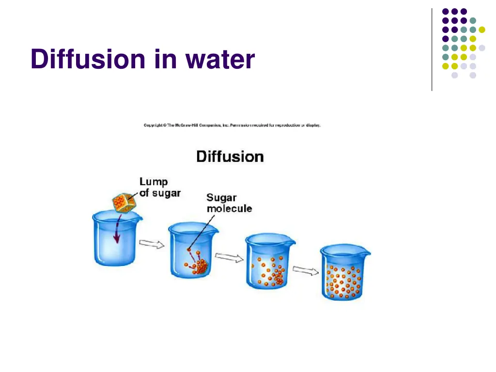 diffusion in water