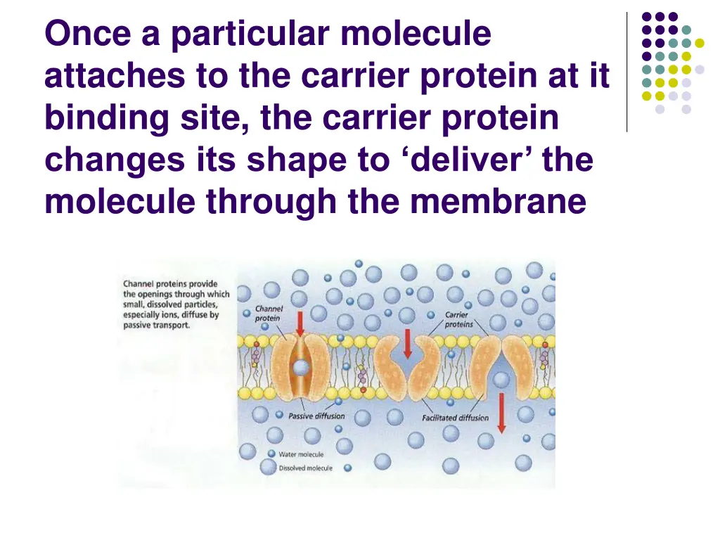 once a particular molecule attaches