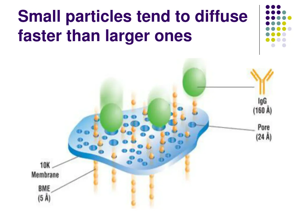small particles tend to diffuse faster than