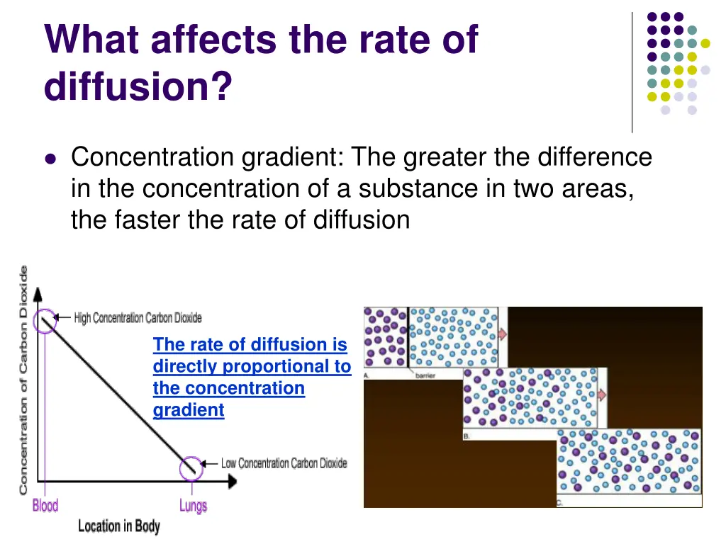 what affects the rate of diffusion